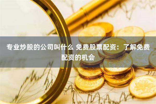 专业炒股的公司叫什么 免费股票配资：了解免费配资的机会
